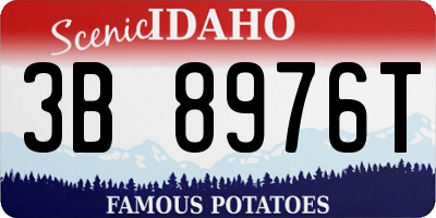 ID license plate 3B8976T