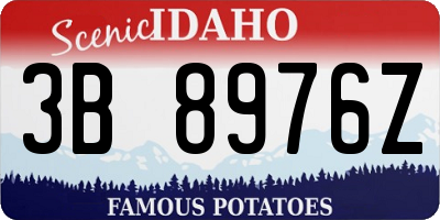 ID license plate 3B8976Z