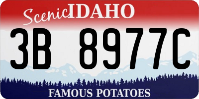 ID license plate 3B8977C