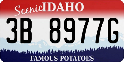 ID license plate 3B8977G