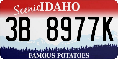 ID license plate 3B8977K