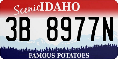 ID license plate 3B8977N