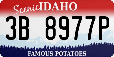 ID license plate 3B8977P