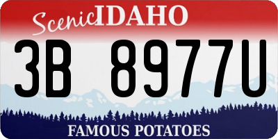 ID license plate 3B8977U