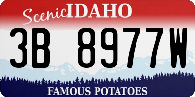 ID license plate 3B8977W