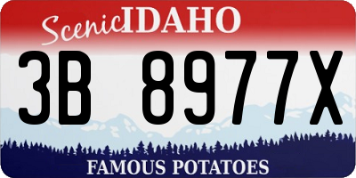 ID license plate 3B8977X