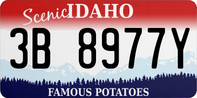 ID license plate 3B8977Y