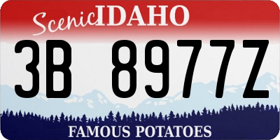 ID license plate 3B8977Z