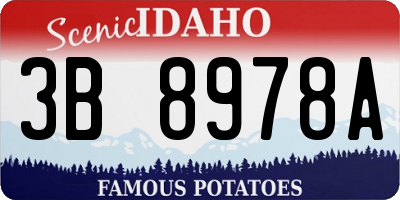 ID license plate 3B8978A
