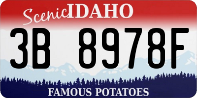 ID license plate 3B8978F