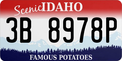 ID license plate 3B8978P