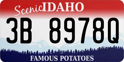 ID license plate 3B8978Q