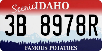 ID license plate 3B8978R