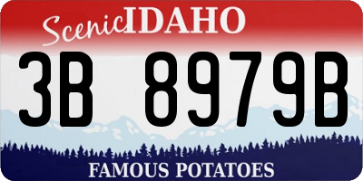 ID license plate 3B8979B