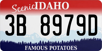 ID license plate 3B8979D