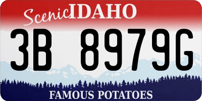 ID license plate 3B8979G