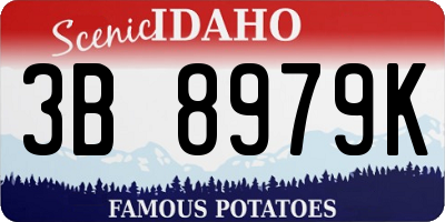 ID license plate 3B8979K
