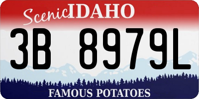 ID license plate 3B8979L