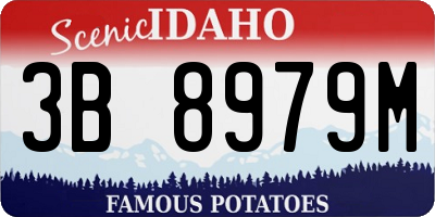 ID license plate 3B8979M
