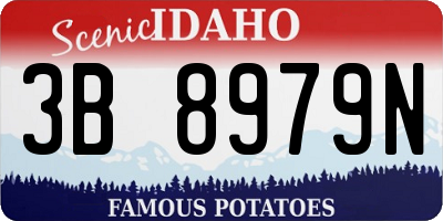 ID license plate 3B8979N