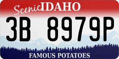ID license plate 3B8979P