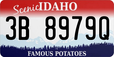 ID license plate 3B8979Q