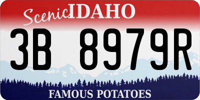 ID license plate 3B8979R