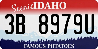 ID license plate 3B8979U