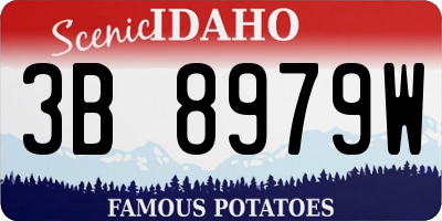 ID license plate 3B8979W