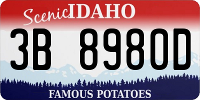 ID license plate 3B8980D