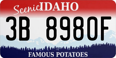 ID license plate 3B8980F