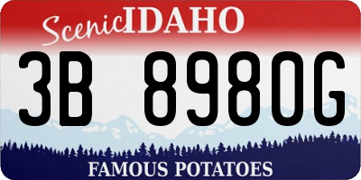 ID license plate 3B8980G