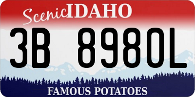 ID license plate 3B8980L