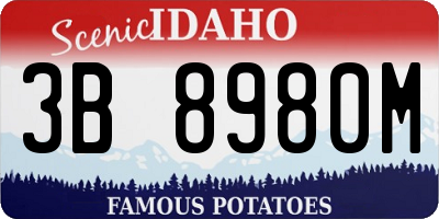 ID license plate 3B8980M