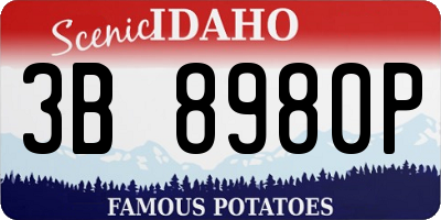 ID license plate 3B8980P