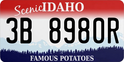 ID license plate 3B8980R