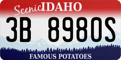 ID license plate 3B8980S