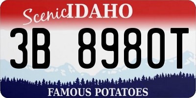 ID license plate 3B8980T