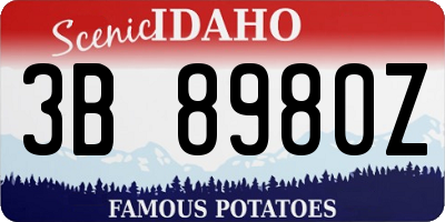 ID license plate 3B8980Z