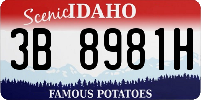 ID license plate 3B8981H