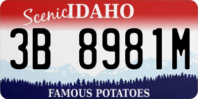ID license plate 3B8981M