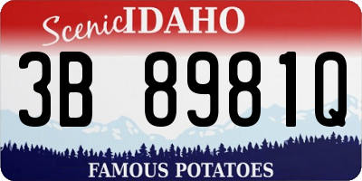 ID license plate 3B8981Q
