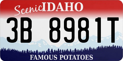 ID license plate 3B8981T