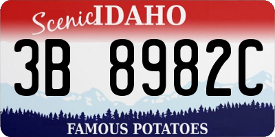 ID license plate 3B8982C