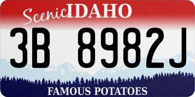 ID license plate 3B8982J