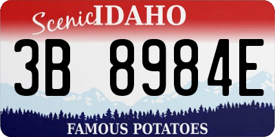 ID license plate 3B8984E