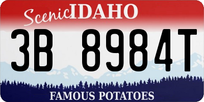 ID license plate 3B8984T