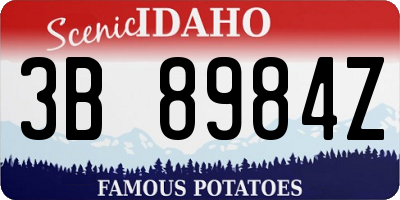 ID license plate 3B8984Z