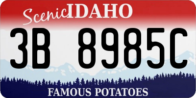 ID license plate 3B8985C