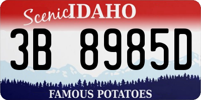 ID license plate 3B8985D